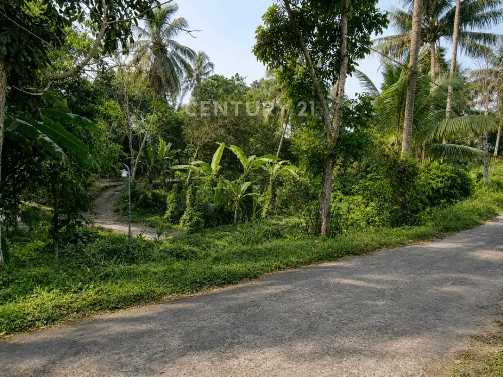 Tanah 574 M2 Di Pakem Ideal Untuk Villa Dan Investasi