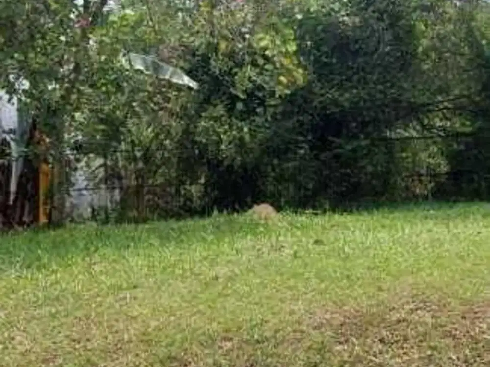 Tanah Kavling Siap Bangun Lokasi Nyaman di Komplek Telaga Golf (YU)