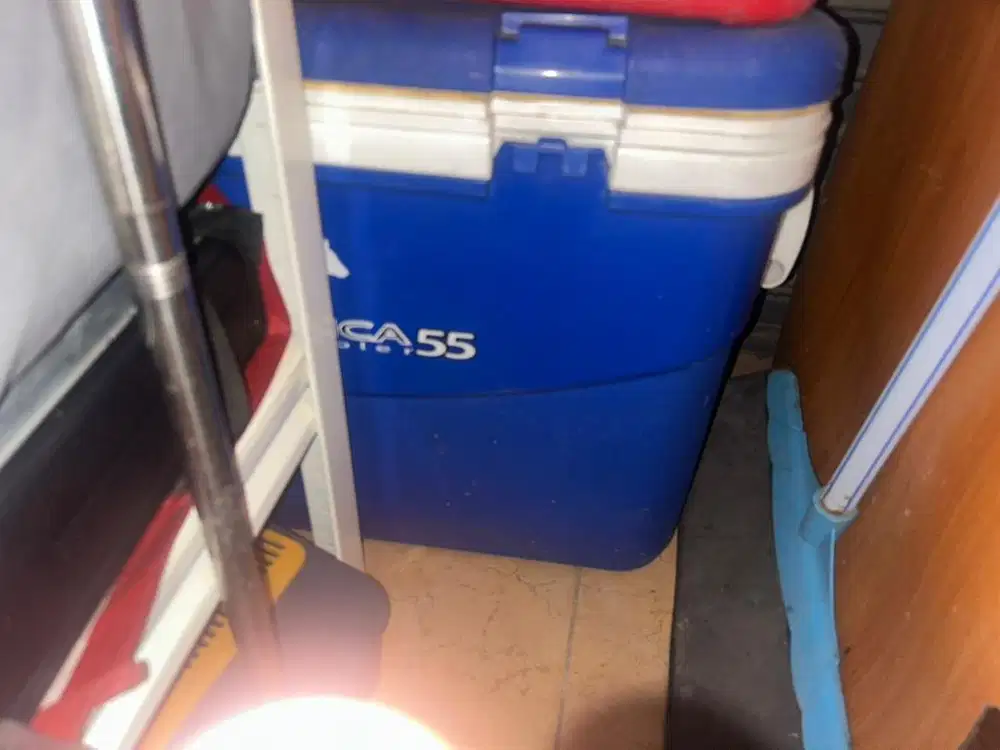 Cooler Box Antarctica 55L Besar