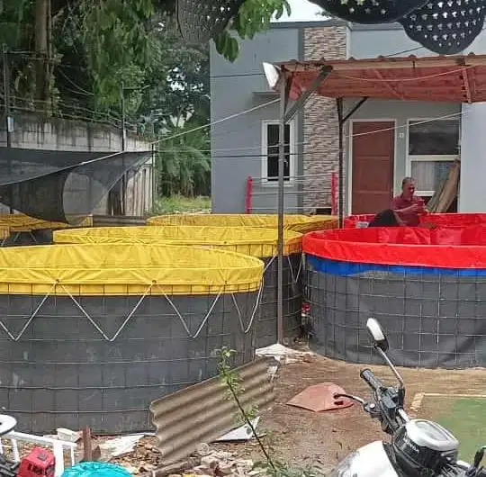 JUAL KOLAM IKAN BIOFLOK, BIBIT IKAN,DAN KONSUMSI LELE NILA