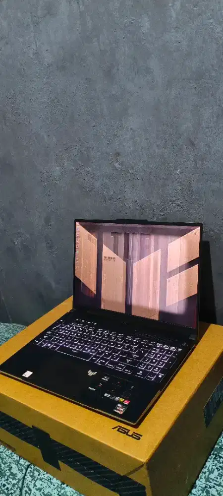 ASUS TUF Gaming A16 Advantage Edition (FA617)