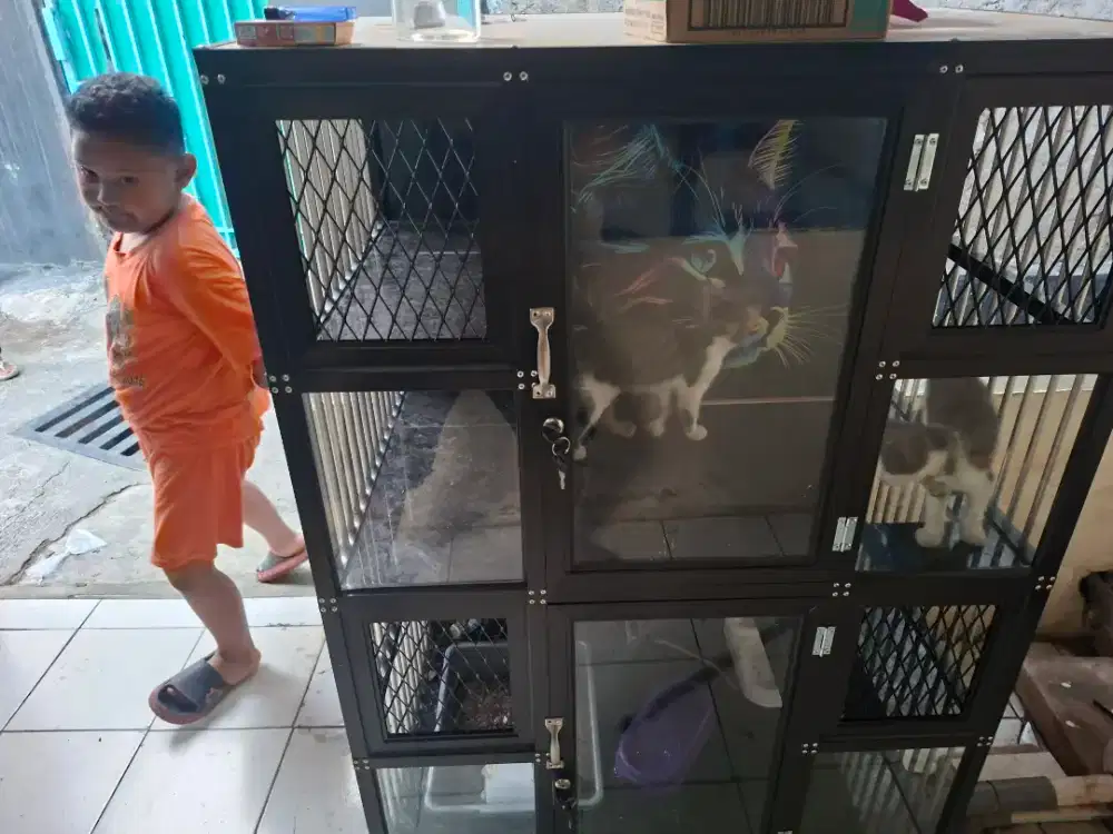 Di jual Kandang kucing