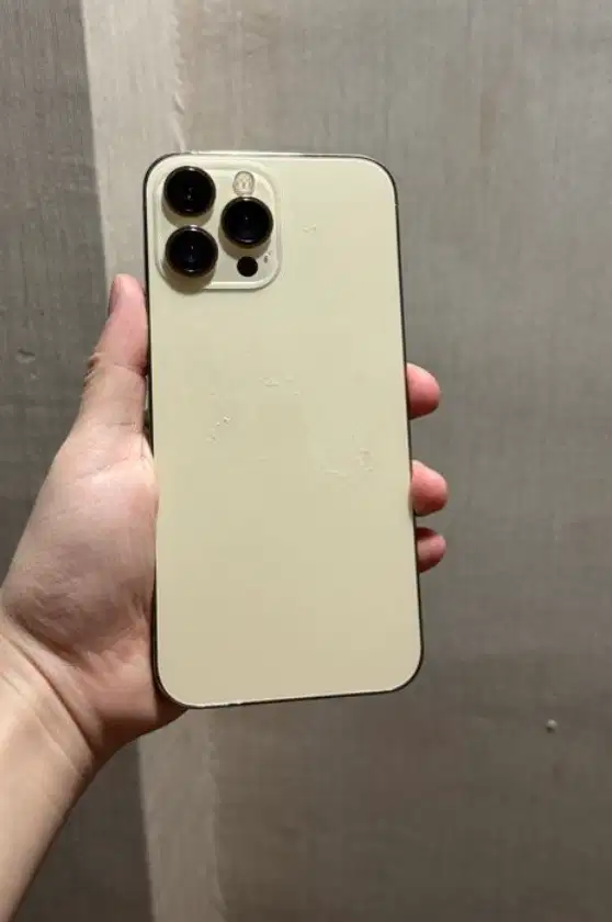 Iphone 13 Pro Max 512Gb Ibox/Inter