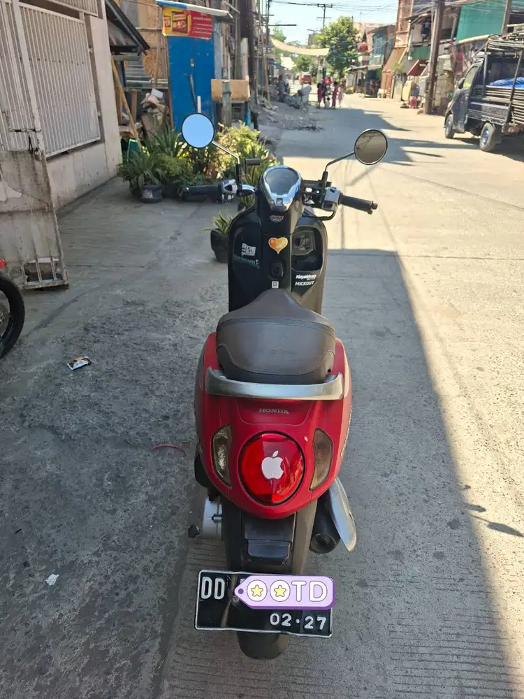 Scoopy Stylish 2022