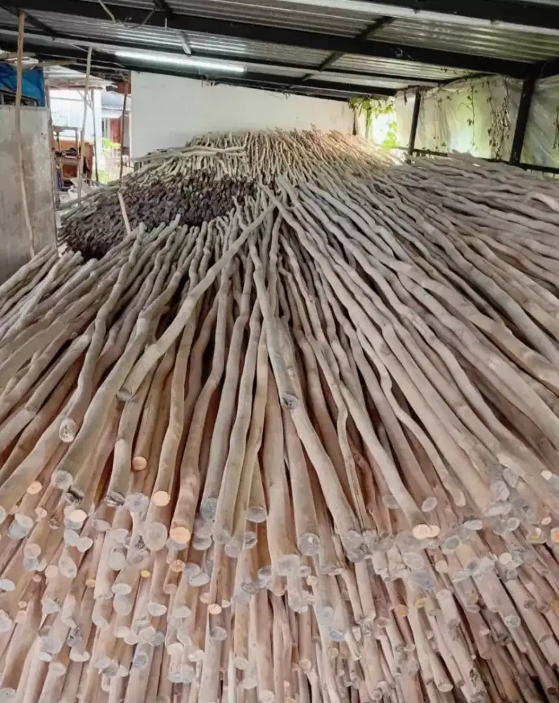 Kayu dolken kupas,untuk dekorasi.
