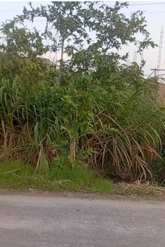 DIJUAL TANAH DARAT DIPINGGIR JALAN BESAR