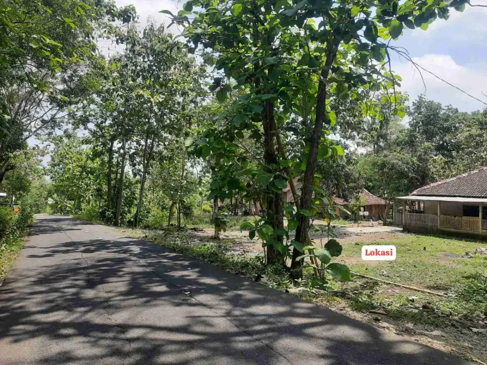 dijual tanah murah,di Sukoreno,Sentolo kulon progo