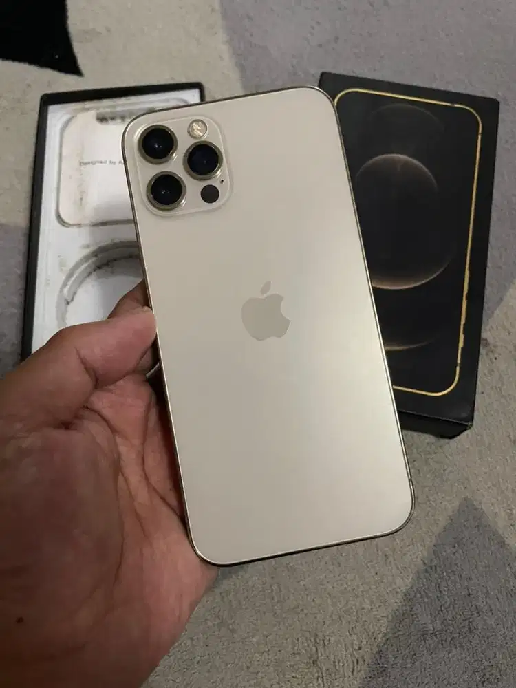 Iphone 12 Pro 256gb sinyal permanen