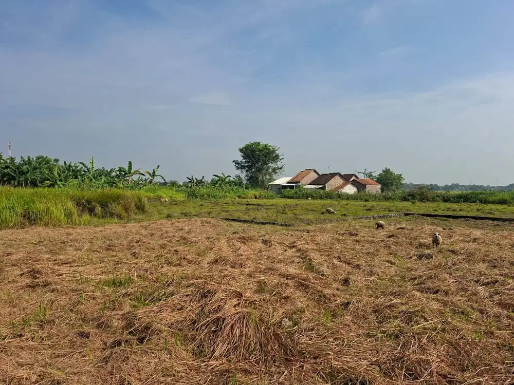 Dijual tanah kavling 213m² di Penancangan, Kota Serang