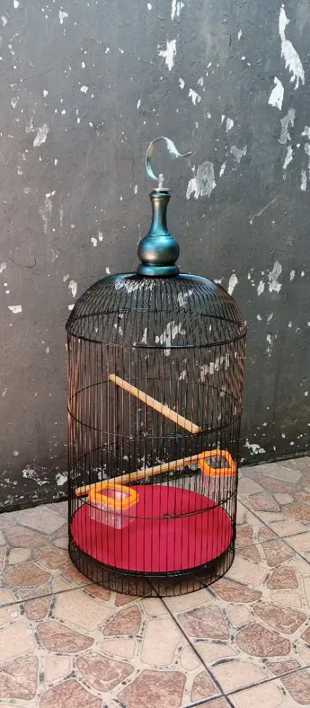 Sangkar burung lovebird