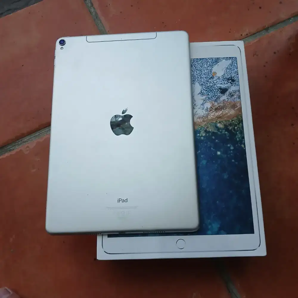IPAD PRO 10,5 INCH 256 IBOX WIFI + CELLULER