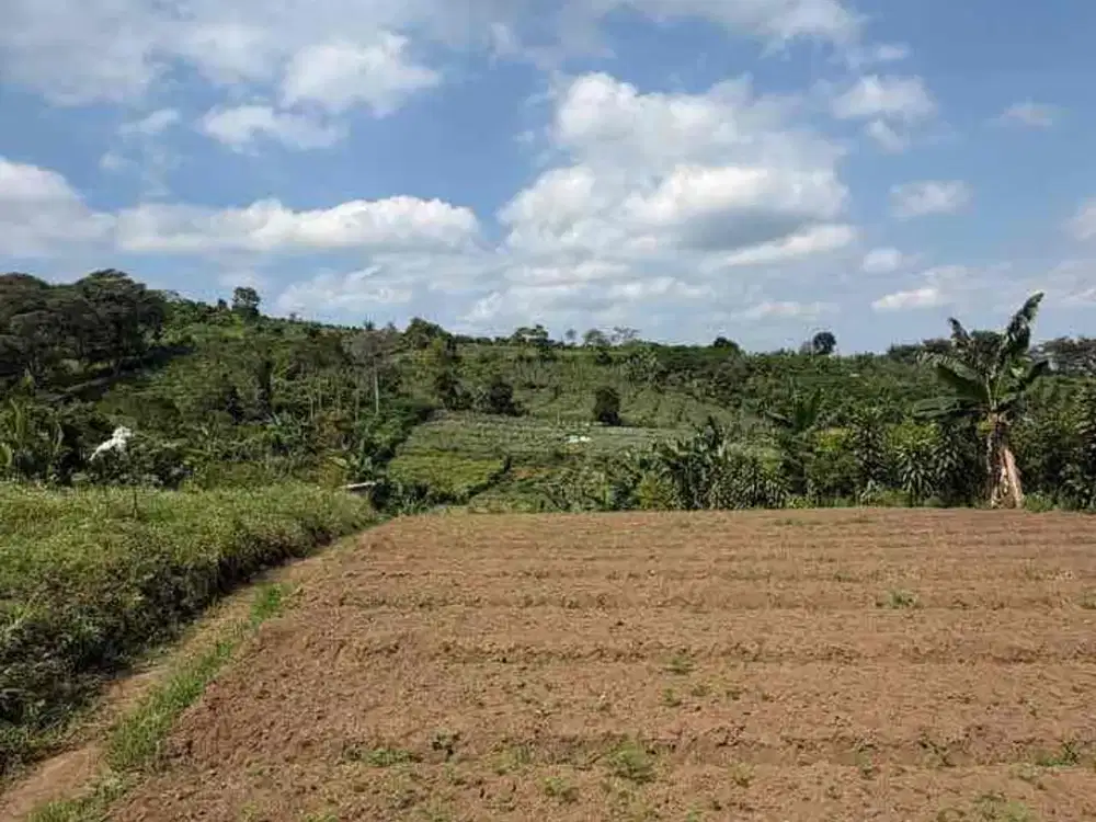 Tanah murah dan akses mobil serta View Seperti Ini Sudah Mulai Langka di Kota Batu! SHM, 1.704 m², Cocok Bangun Villa Mewah