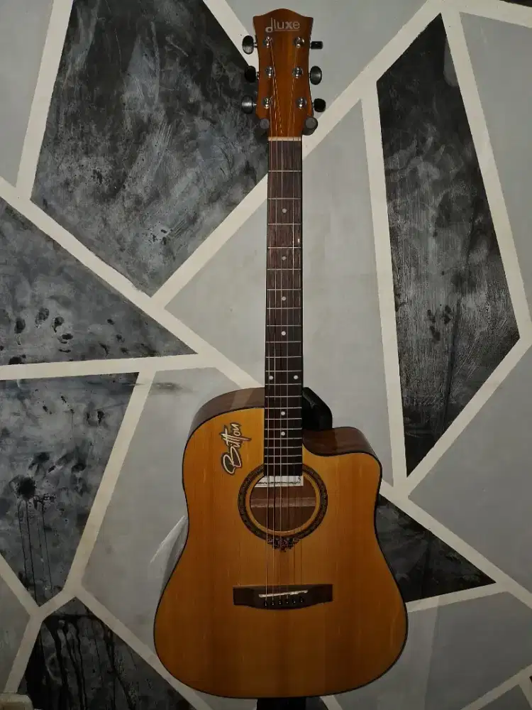 Gitar dluxe Dw 110 glosy