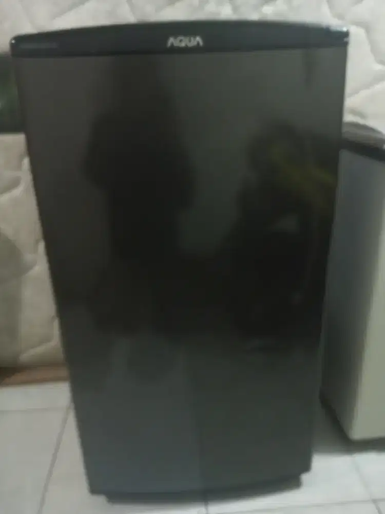 Prezer rak normal ori