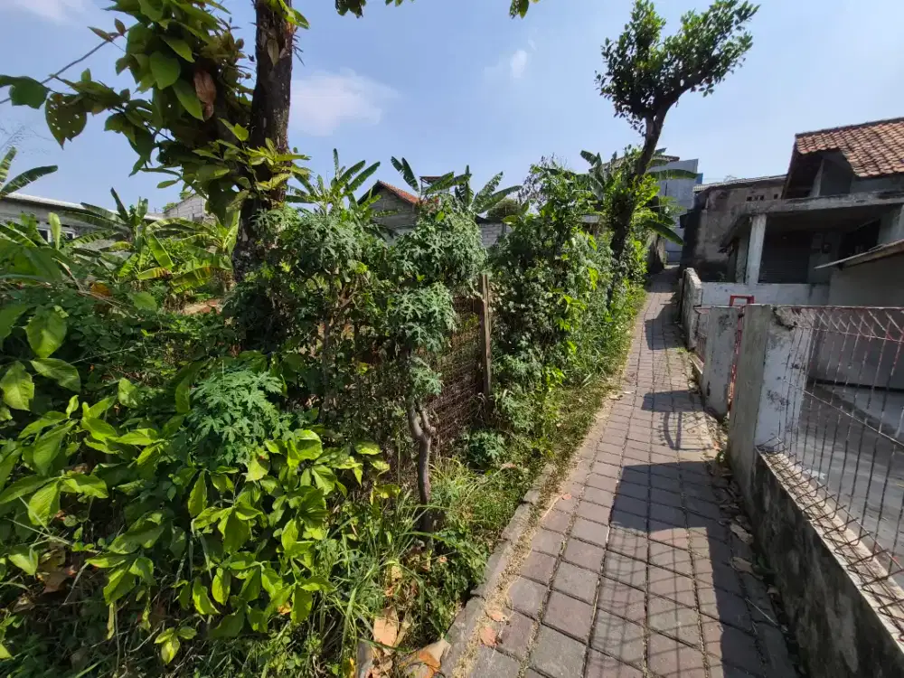 Dijual Butuh Cepat Tanah Kebun Dekat Stasiun
