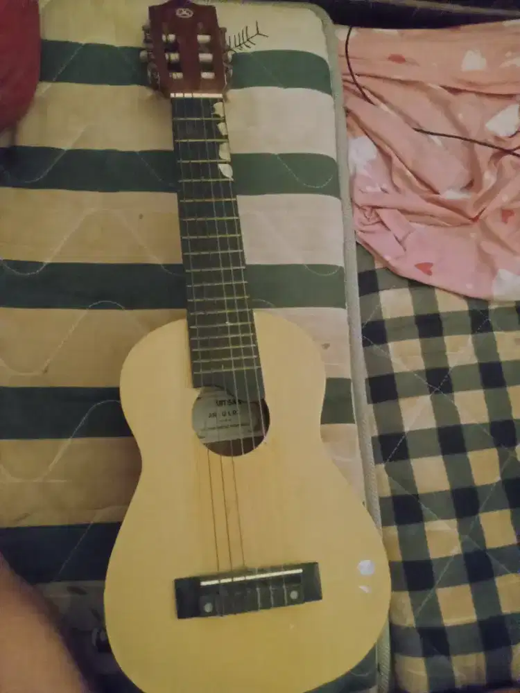 Alat music gitar lele