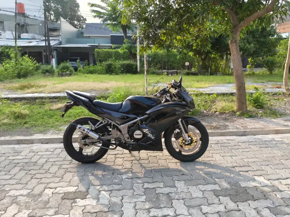 Kawasaki Ninja 150 RR