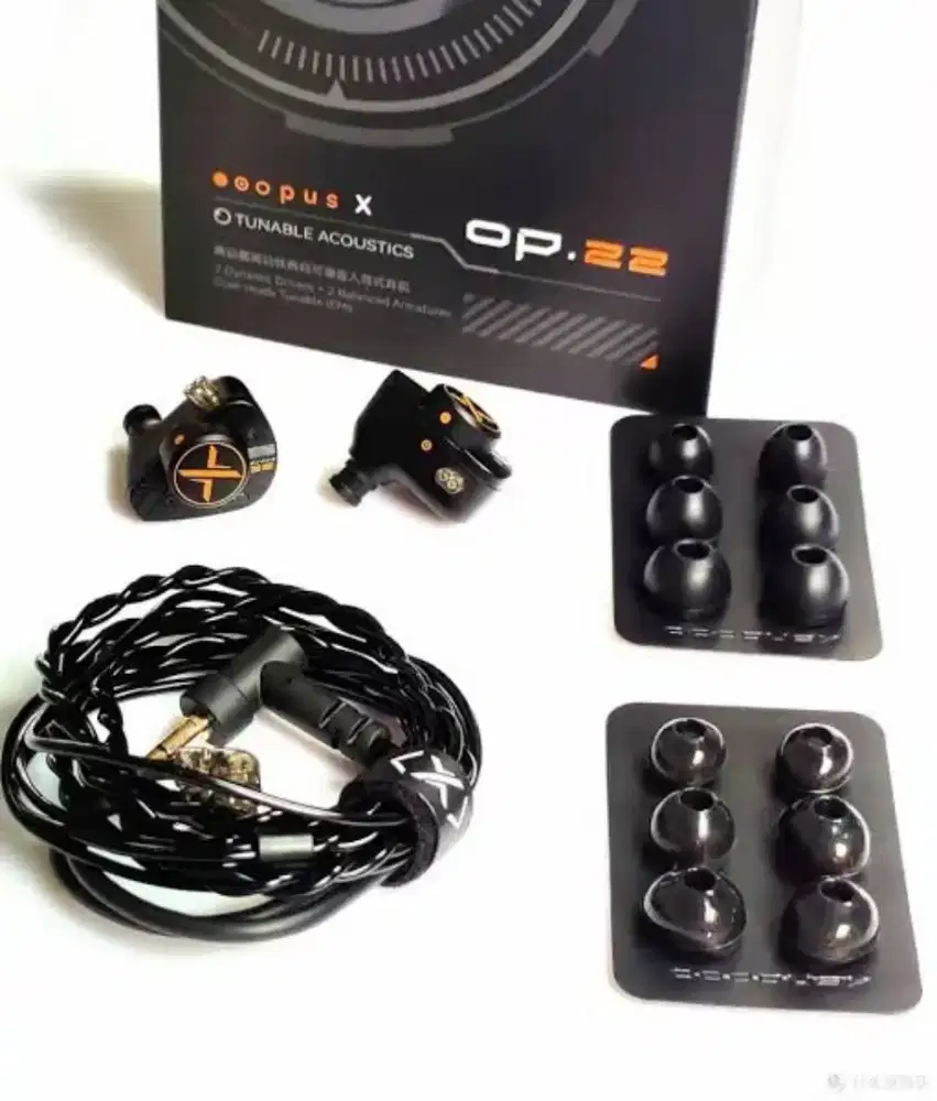DAC Snowsky melody plus IEM oopusx op 22