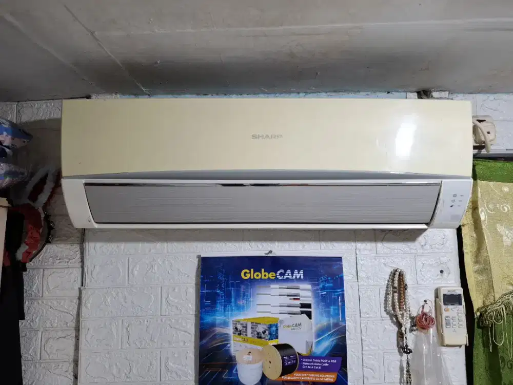 Ac Sharp 1/2 PK normal