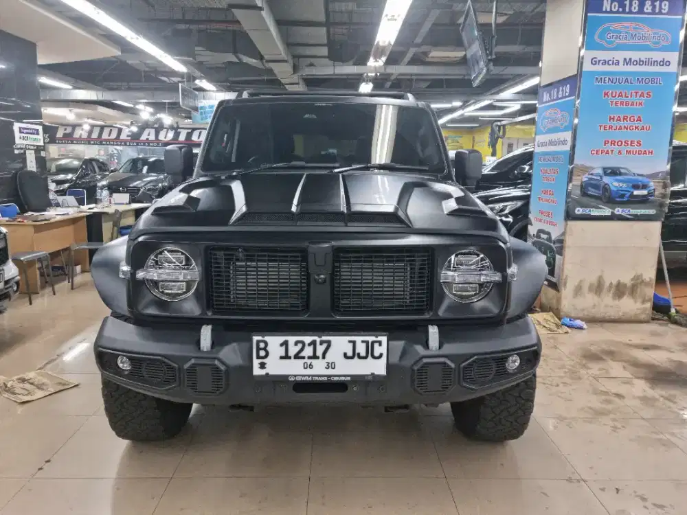 GWM TANK 300 2024