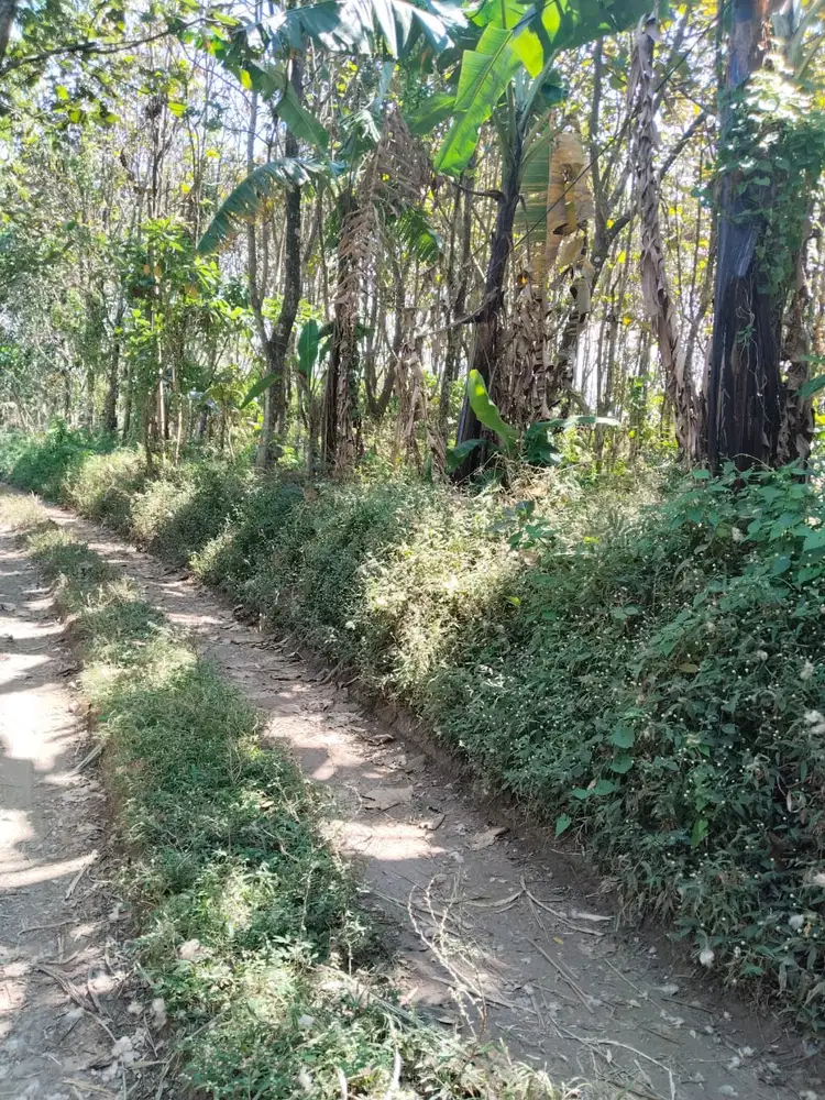 DIJUAL TANAH MURAH