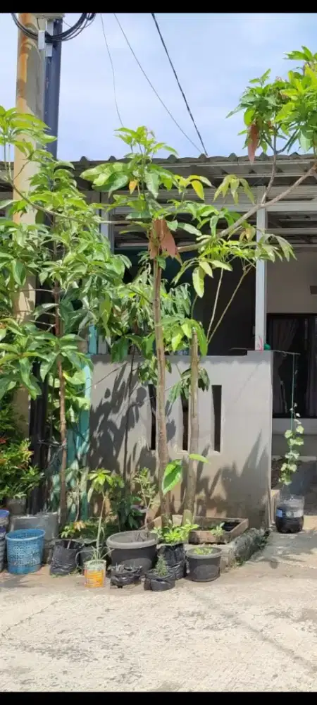 tim untuk bagian produksi