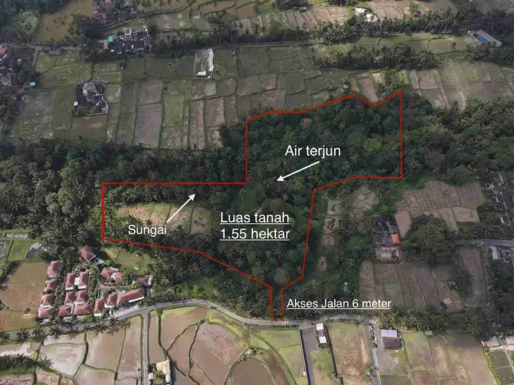 tegalalang deket ubud. 1.55 hektar termurah