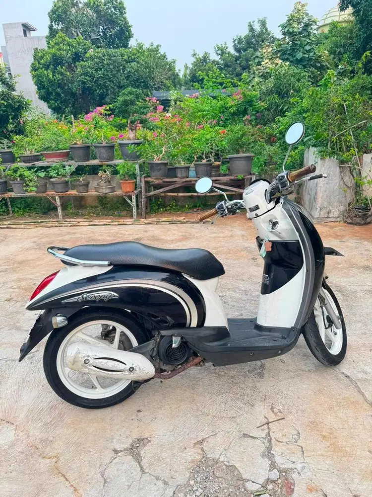 Honda scoopy 2013