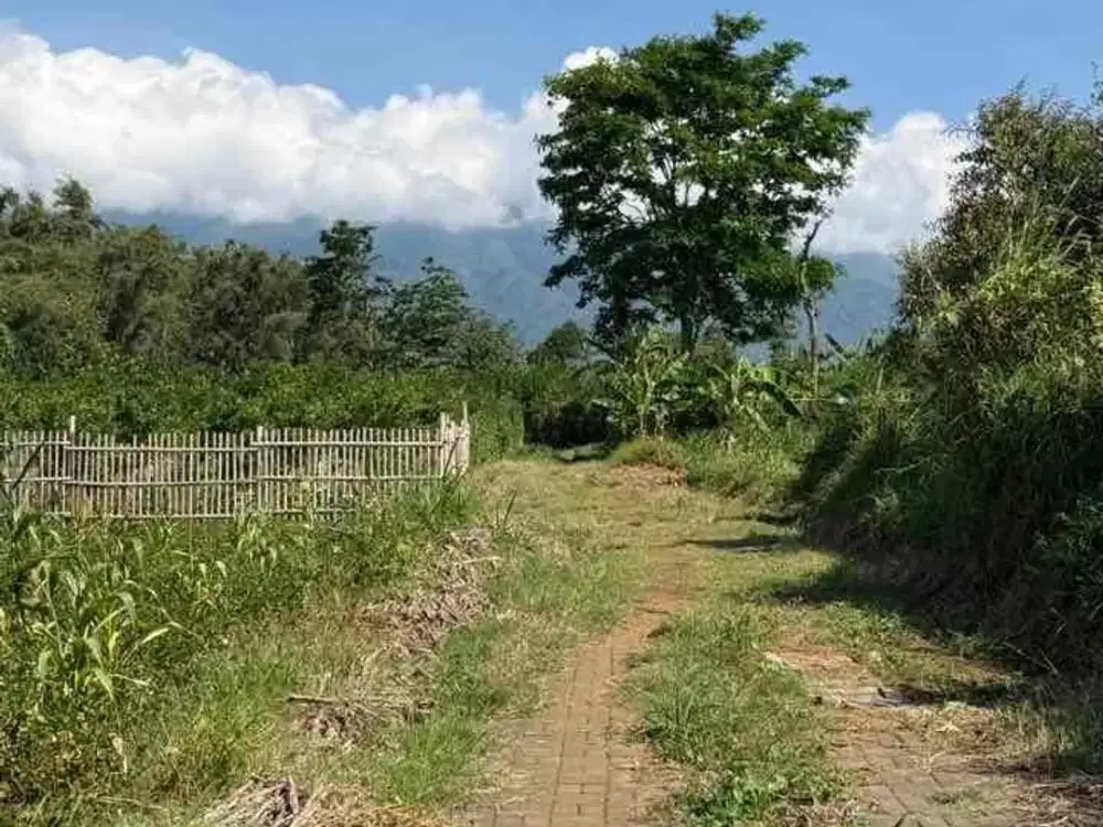 Investasi Tanah SHM di Malang Mulai Rp285 Juta, Lokasi Berkembang deket boarding scol tursina