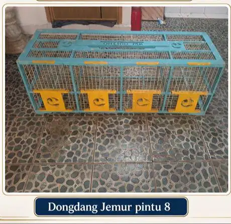 Dongdang 8 pintu