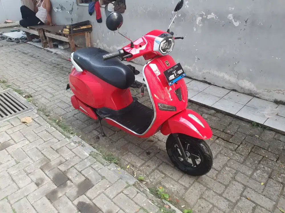 Molis TOMIDA 2025