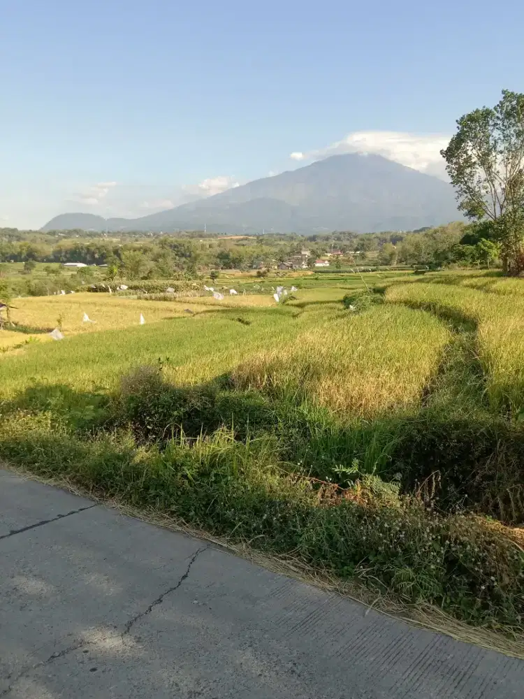 Tanah pacet,Belakang wisata pacet mini park view bagus murah