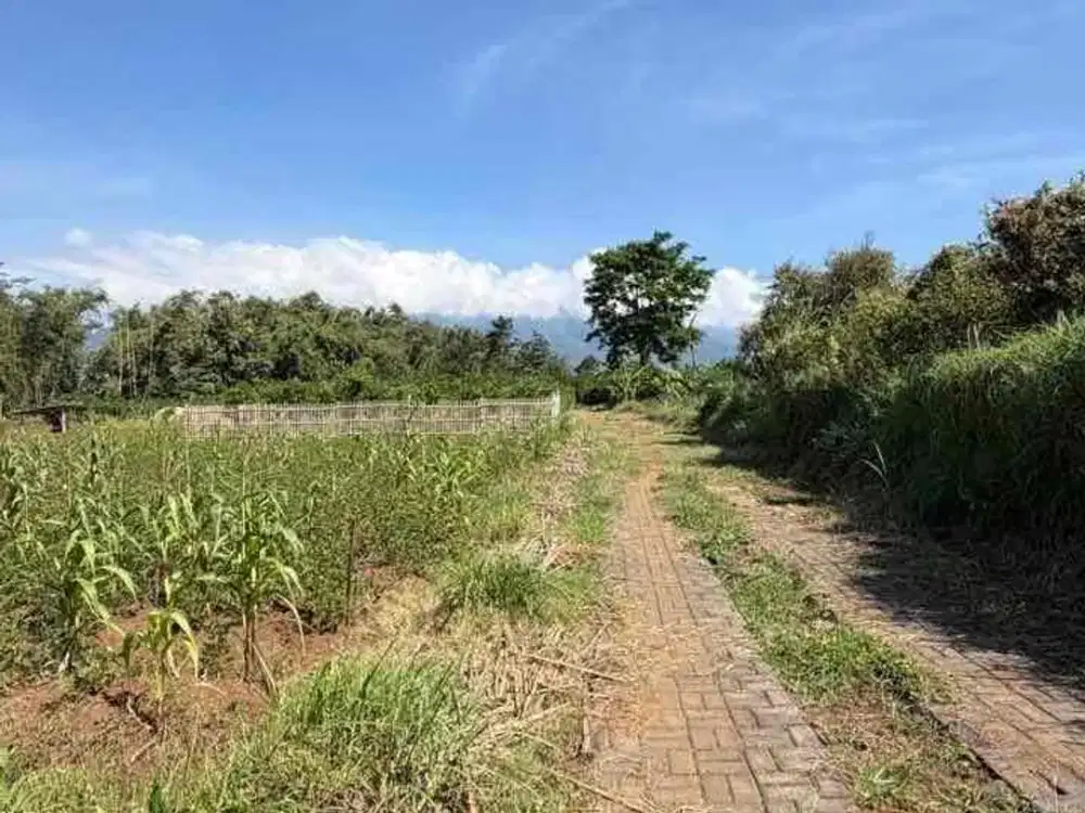 SHM 285 Juta! Tanah Kavling Siap Bangun di Joyogrand Atas Malang