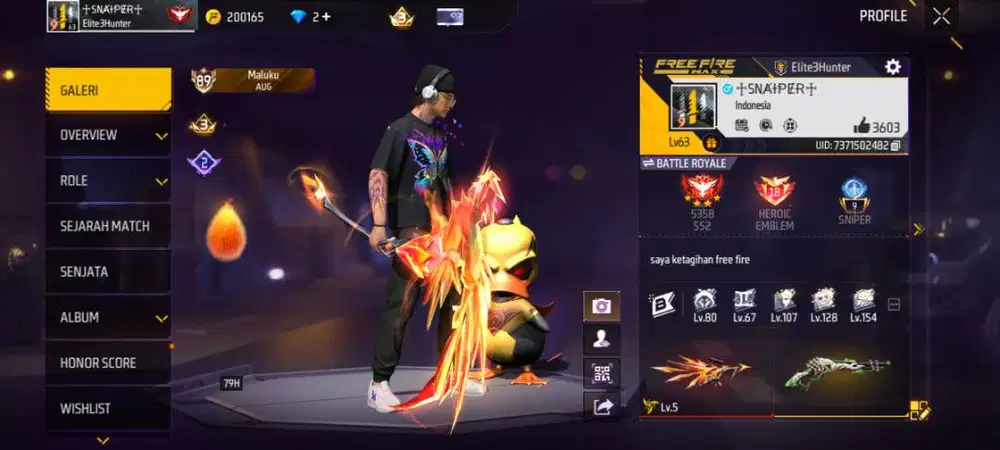 Beluh akun Level 63