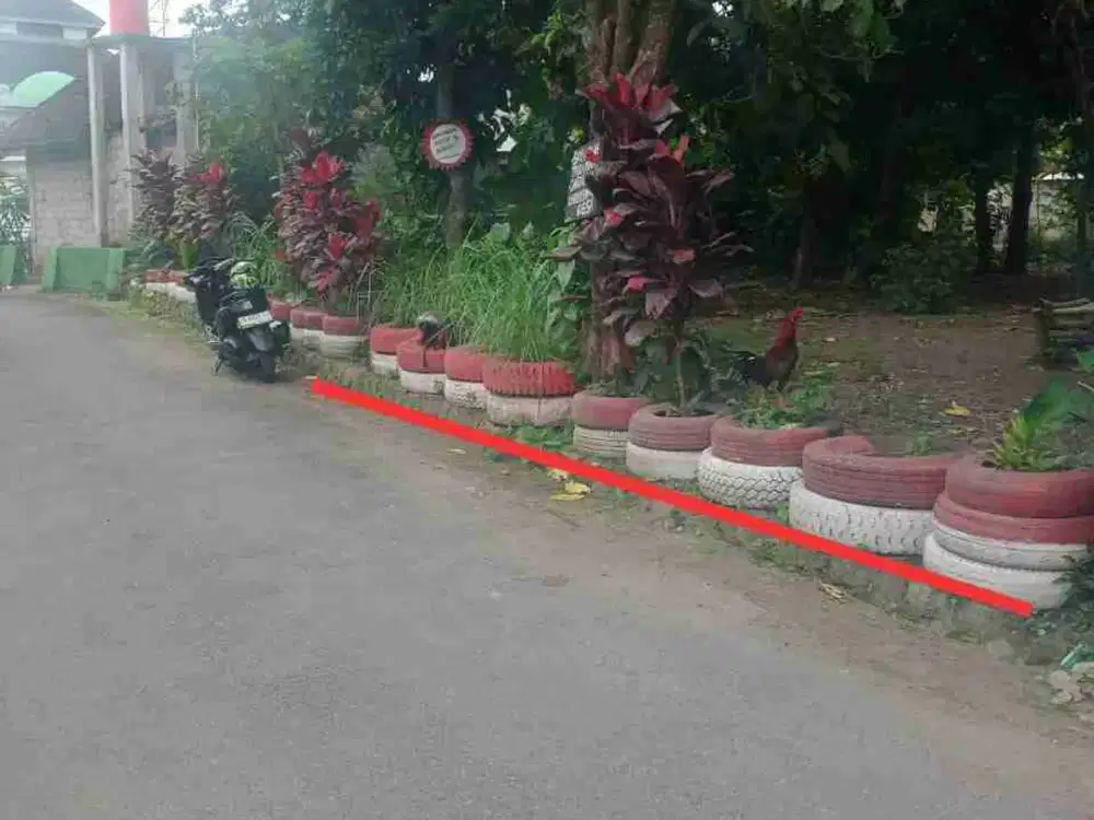 JUAL LAHAN PEKARANGAN MAGUWOHARJO, MURAH BU