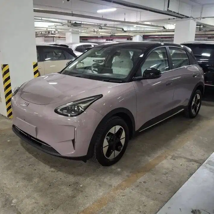 Geely Ex2 Pro & Max hatchback
