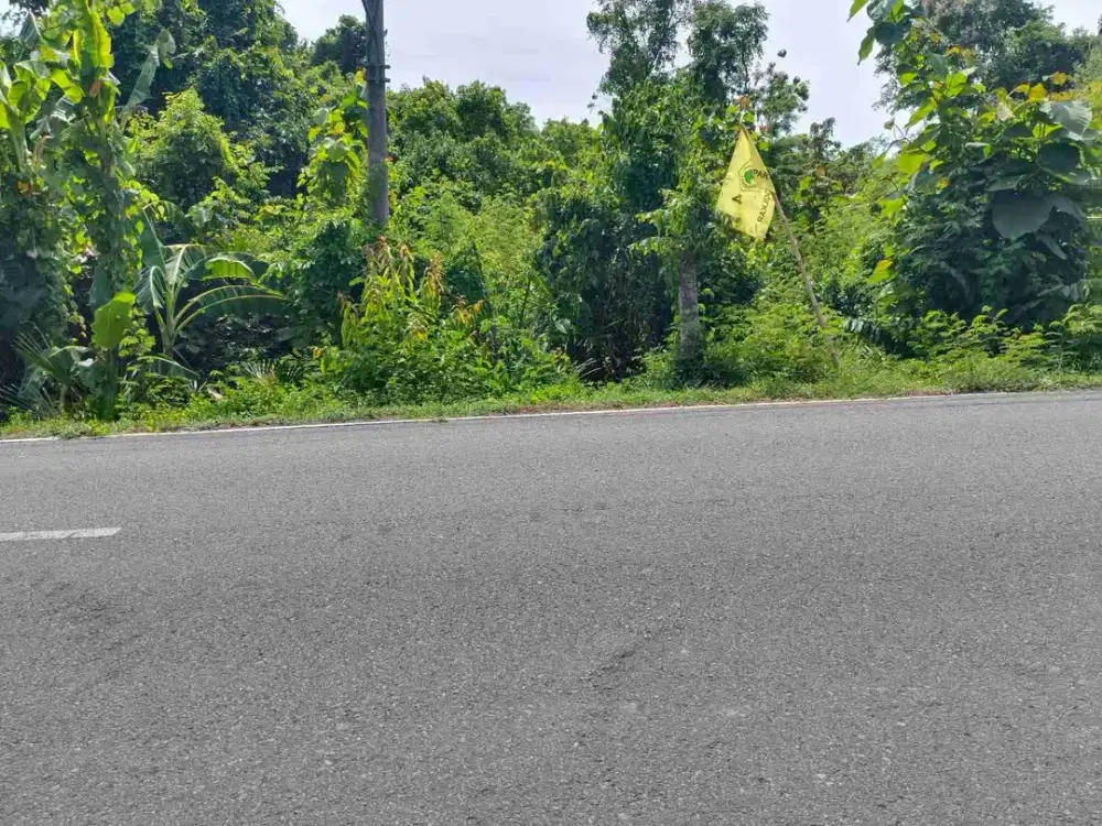TANAH 47.8 ARE JALAN RAYA JEMBRANA PENGAMBENGAN ( PUSAT INDUSTRI & PELABUHAN )