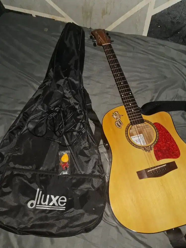 Gitar dluxe Dw 110 glosy