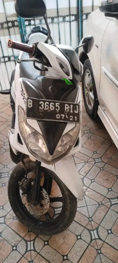 Xeon karbu putih
