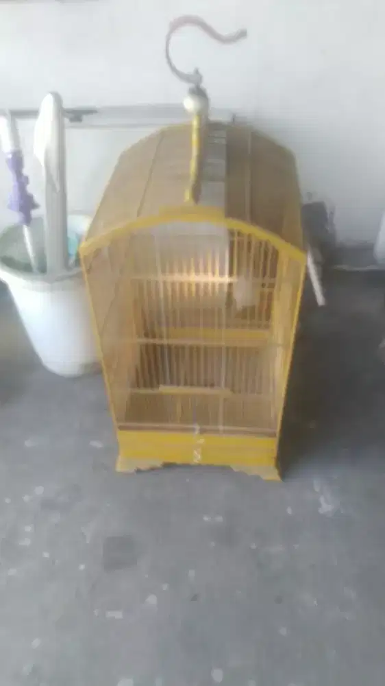 Kurungan burung ukuran besar