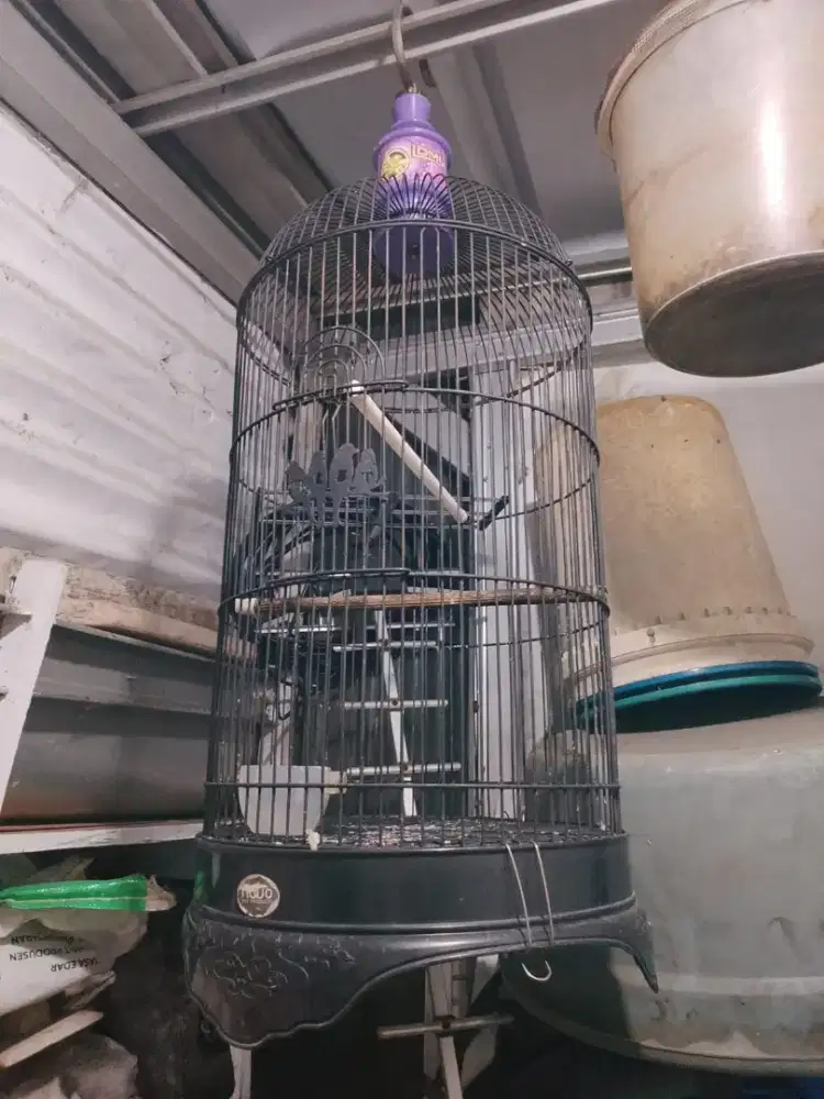 kandang besi lovebird