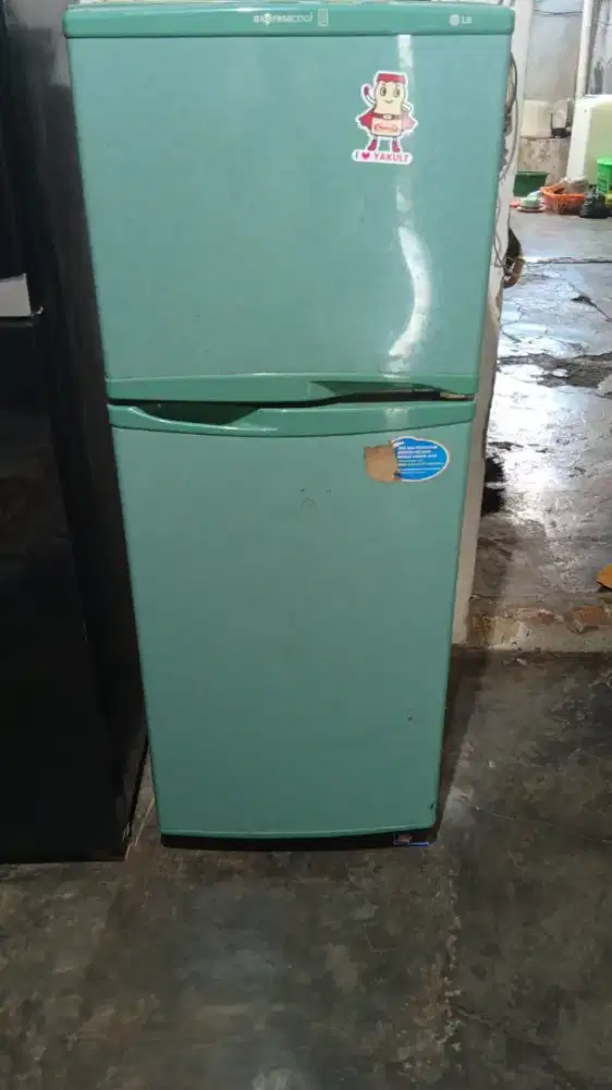 Kulkas LG 2 Pintu