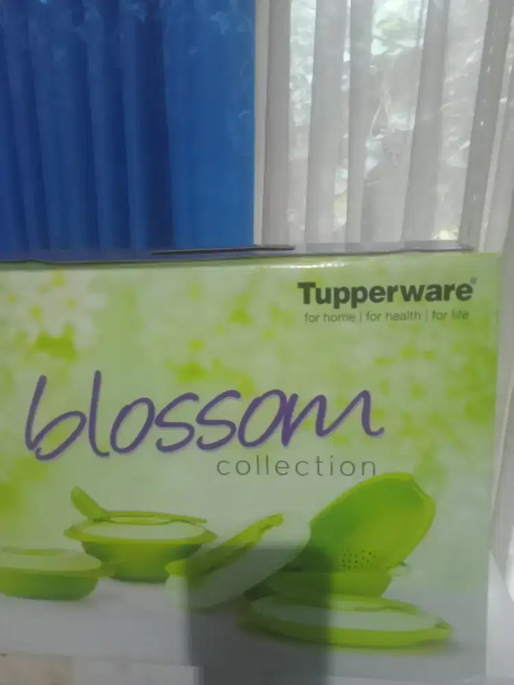 jual Tupperware blossom