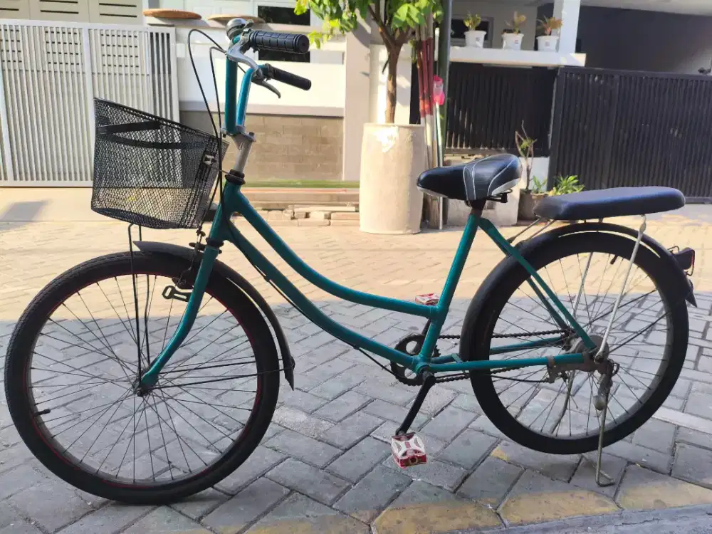Sepeda Genio ukuran standard