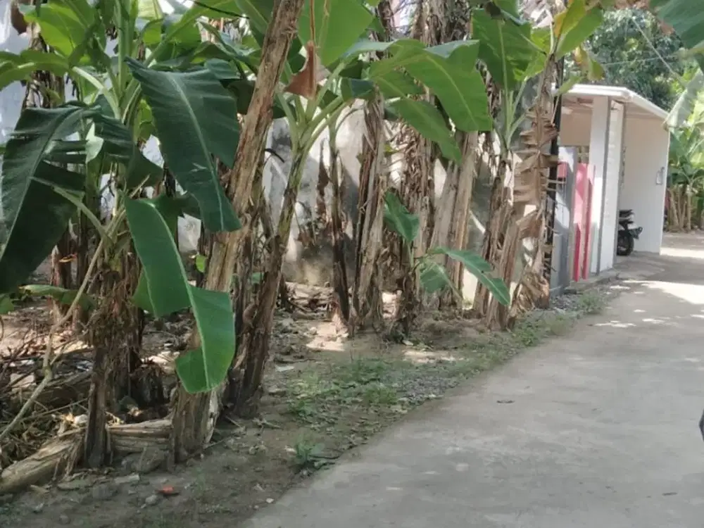 Tanah Pekarangan Bagus di Bantul Kota#Kode : TP 022