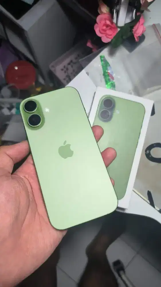 iPhone 17 basic Sage green 256gb inter singapur