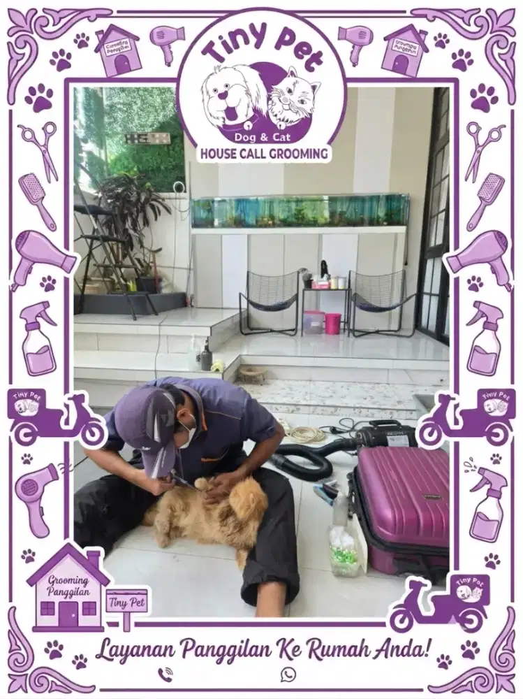 Grooming panggilan kucing anjing panggilan ke rumah