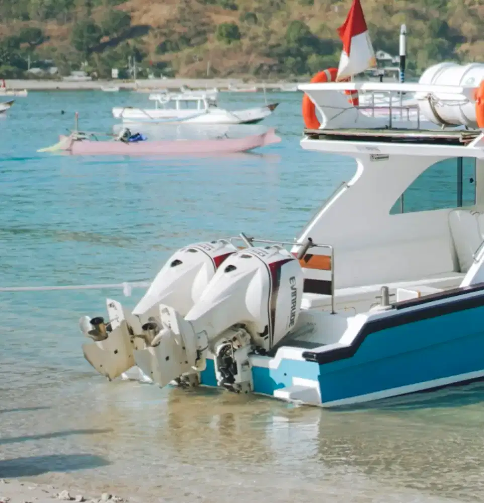 Mesin Speedboat EVINRUDE 250