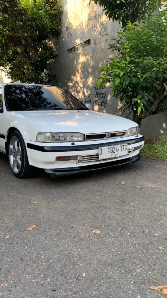 accord maestro 1990 mulus