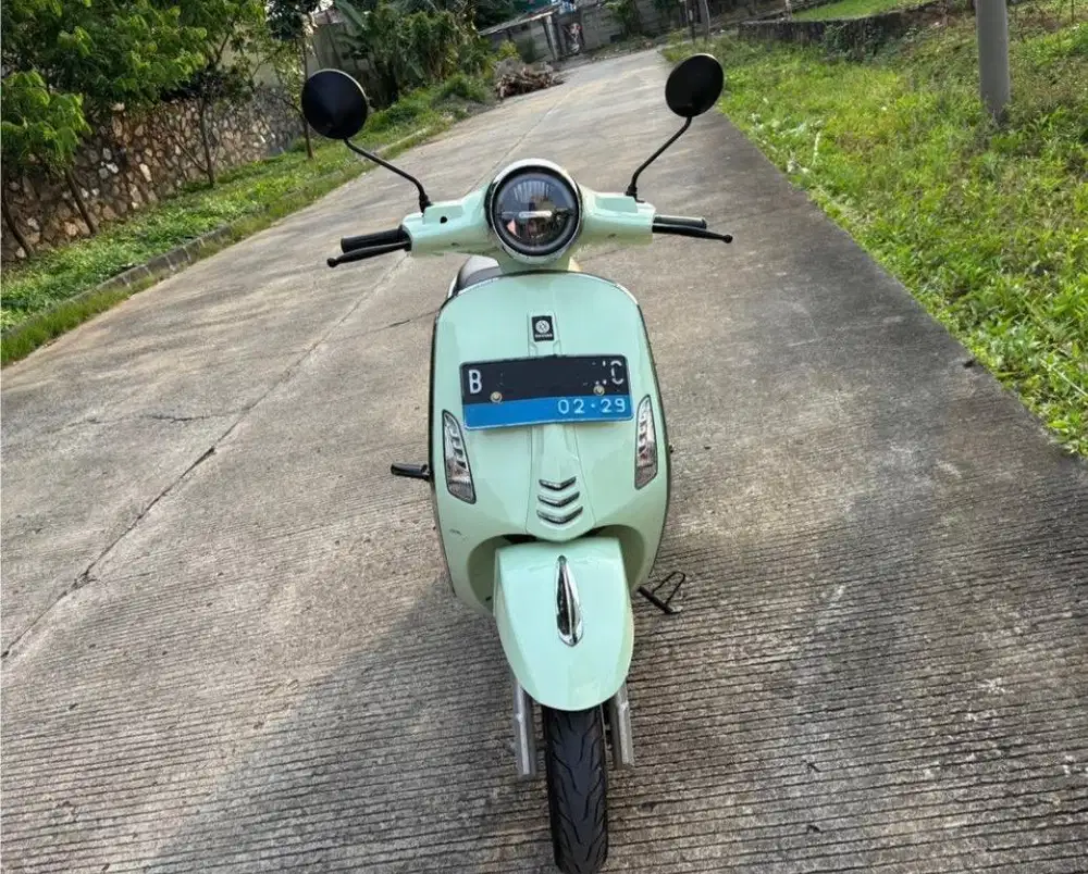 molis Davigo Froza (motor listrik)